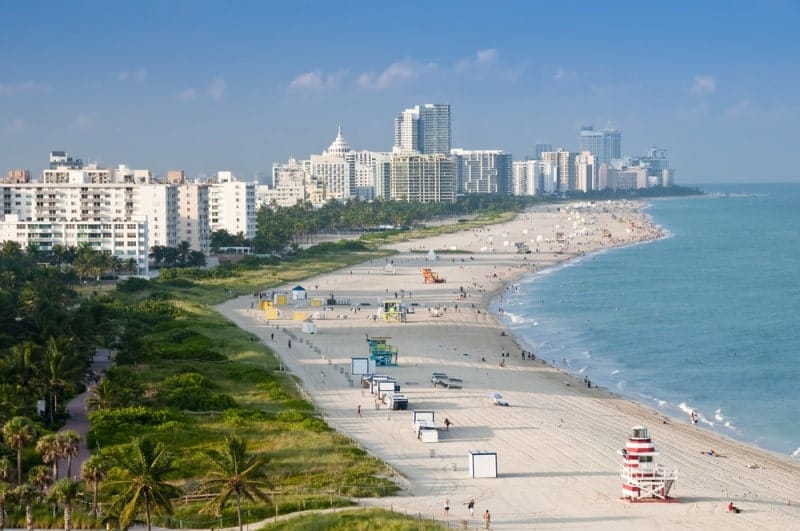 florida translation services
