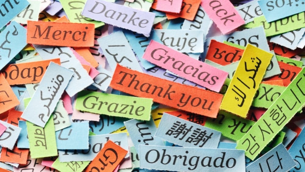 Ways to support indigenous language preservation